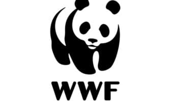 Conoce a Pilar Jacobo, la nueva Directora de Conservación de WWF México