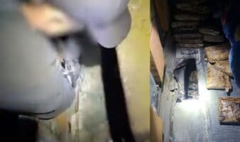 Caen dos en Sonora por trasladar heroína y fentanilo en autobús de pasajeros | Video