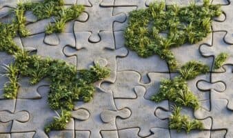 Restauración ambiental y cambio climático, claves según el Dr. Robert Manson