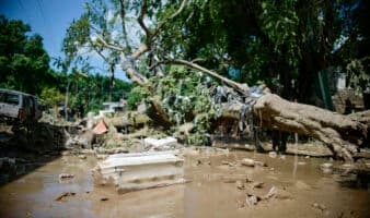 Deforestación y manejo de cuencas, claves en las inundaciones: Dr. Robert Manson
