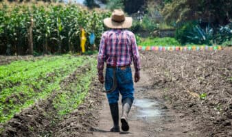 Productores evitan denunciar 'impuesto criminal' por temor a represalias, señala UNTA | Entérate