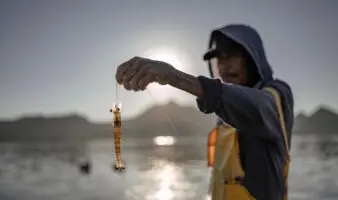 Topolobampo en emergencia: Planta de amoníaco en Sinaloa desata alerta internacional