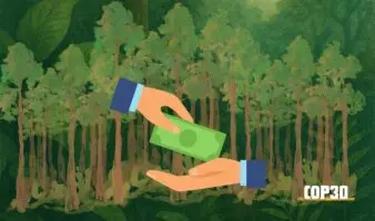 COP30 | Nace fondo histórico de 5,000 mdd para proteger bosques tropicales en 70 países