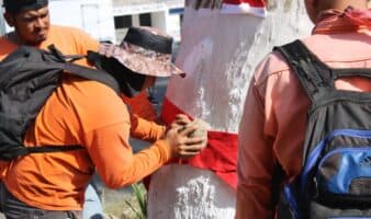 Nayarit | Gobierno 'decora' árboles vivos y especialistas alertan sobre daños por la pintura