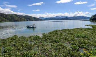Nuevo dictamen de Ley de Aguas mantiene centralización y riesgo de discrecionalidad, advierte IMCO