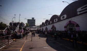 No solo es el Mercado de Sonora, prohibición de vender animales aplica a todo espacio público de la CDMX: Va por sus Derechos
