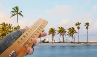 Florida registrará su temperatura más baja en 15 años con 0 grados en Miami