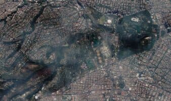 'Naturalista en Chapultepec': descubre su vida silvestre | Por Carlos Galindo Leal