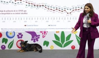 'Ni pactos de silencio, ni censura': ahora Brugada niega acuerdo con medios sobre nota roja