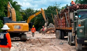 Profepa clausura proyecto 'Perfect Day Mahahual' por obras ilegales en zona de manglar