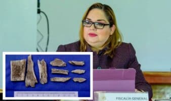 Fiscalía de Nayarit asegura que restos hallados en su patio son de un animal
