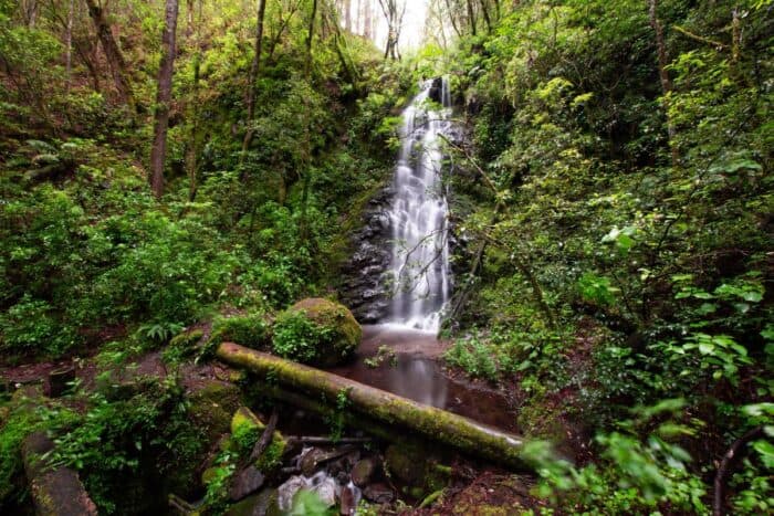 SCJN falla a favor de la protección del Parque Nacional Benito Juárez en Oaxaca