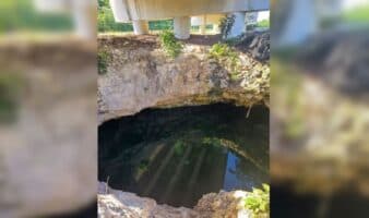 Tren de carga en Tren Maya alarma a ambientalistas