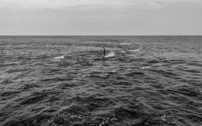 World Press Photo 2026 | Desde Gaza hasta las costas de Tabasco, estas son las fotografías ganadoras