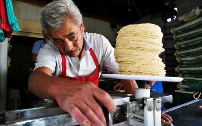 ¿Subirá el precio de la tortilla? esto dicen productores y el gobierno