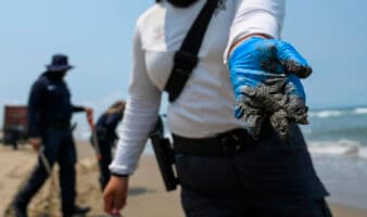 Gobierno anuncia Observatorio Permanente tras derrame en el Golfo de México