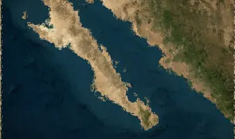 Proyecto Saguaro es 'imperialismo ecológico' en el Golfo de California: Mittermeier