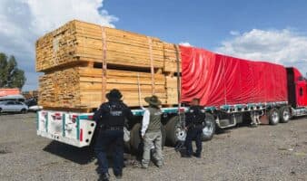 Decomisan madera irregular en reserva Mariposa Monarca