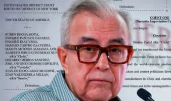 Cuando el populismo necesita garantías: sobre el uso intermitente del Estado de Derecho | Artículo de Roberto Lara