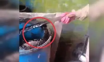 Jalisco | Buscadoras denuncian reactivación de presunto crematorio clandestino