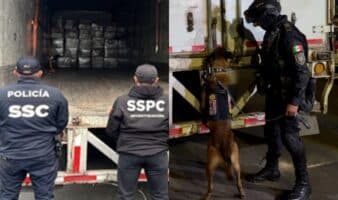 Aseguran 1.2 toneladas de marihuana en cajas de huevo | CDMX