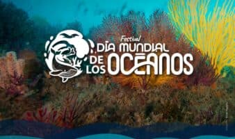 Día Mundial de los Océanos: festival gratuito en la CDMX