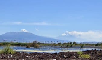 Ciencia ciudadana en los humedales del Lago de Texcoco: un año de exploración