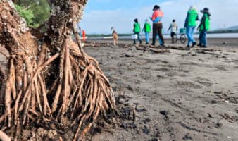 Exigen reparación integral a Pemex por contaminación con hidrocarburos en Salina Cruz
