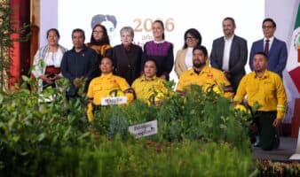 Gobierno reforestará 32 mil hectáreas con 6.6 millones de árboles