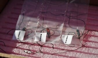 La Red MOTUS: ciencia para proteger las aves migratorias | Pronatura Noreste