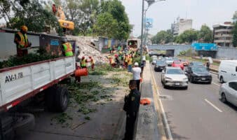 Derrumbe en Viaducto exhibe riesgo de edificios dañados que siguen sin intervención: especialista