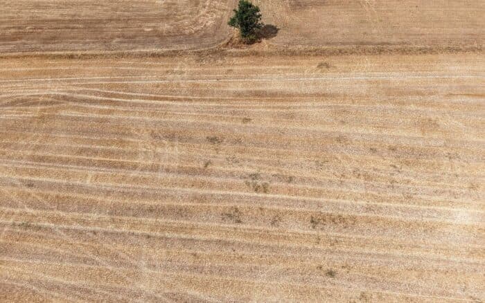 Francia prevé un impacto económico debido a la sequía y olas de calor