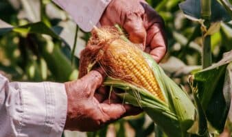 Lo que se necesitará para crear la economía de la agricultura regenerativa