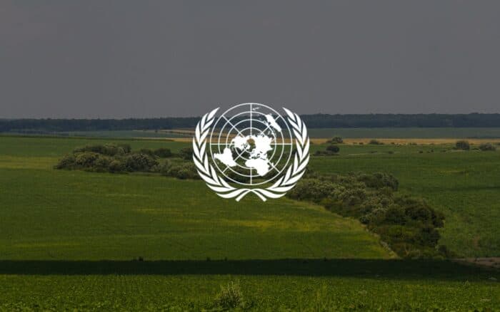 ONU: Restauración de ecosistemas alcanza un récord de 252 millones de hectáreas